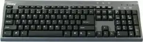 Tipkovnica Chicony KB-9810, PS2, crna