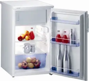 Hladnjak Gorenje RB3124W