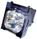 BenQ projektorska lampa 5J.J1Y01.001