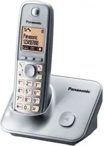 Bežični telefon Panasonic KX-TG6611FXM