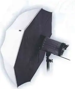Brolly Box, transparentan