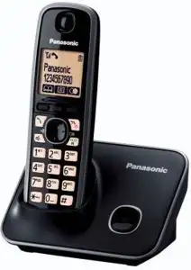 Bežični telefon Panasonic KX-TG6611FXT