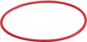 O-Ring Olympus POL-EP03 za PT-EP03 do 40 metara