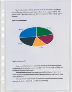 Fascikl uložni A4 50my pp sjajni Copy Safe pk100 Donau 1772100PL-00