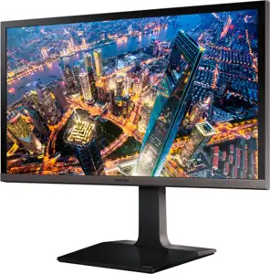 Monitor 28