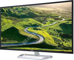 Monitor 31.5