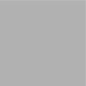 Papir u boji B1 200g Bristol Color pk10 Connect 272 sivi