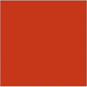 Papir u boji B1 200g Bristol Color pk10 Connect 250 crveni