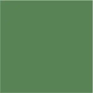 Papir u boji B1 200g Bristol Color pk10 Connect 41A zeleni