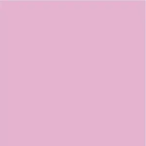 Papir u boji B1 200g Bristol Color pk10 Connect 170 rozi