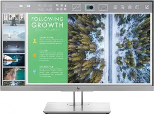 Monitor 24