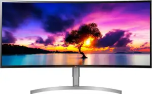 Monitor 38