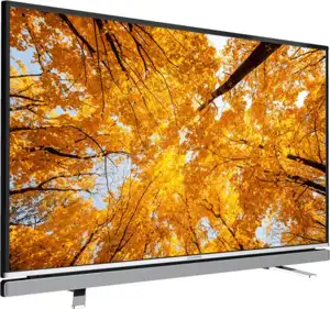Grundig 55VLE6621BP, LED
