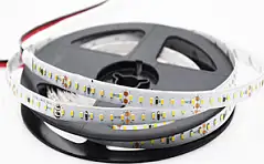 EcoVision LED traka 5m, 2216 SMD, 168LED/m, 14.4W/m, 24V DC, 3000K