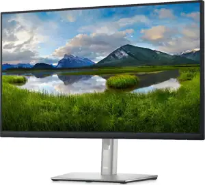 Dell P2422HE 24