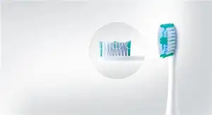 PANASONIC nastavak za el. četkicu WEW0974W503 (2 kom)