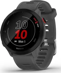 Sportski sat GARMIN Forerunner 55, GPS, multisport, HRM, sivi, 010-02562-13