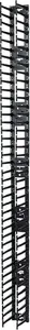APC Vertical Cable Manager for NetShelter SX 750mm Wide 42U (Qty 2)