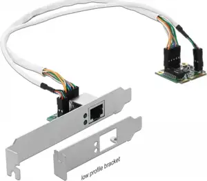DeLock Mini PCIe I/O PCIe half size 1 x Gigabit LAN Low Profile - network adapter