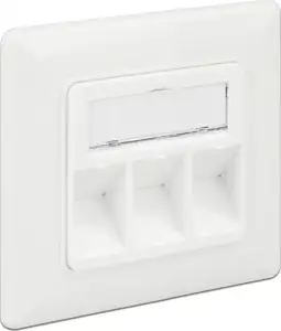 DeLOCK Keystone Wall Outlet - surface mount outlet