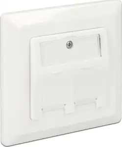 DeLOCK Keystone Wall Outlet - surface mount outlet