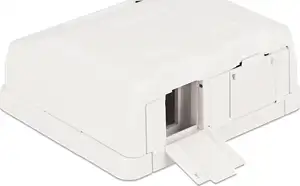 DeLOCK Keystone Surface Mounted Box - modular insert housing
