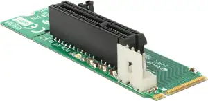 Delock - storage controller - M.2 Card - PCIe 2.0 x4