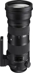 AF 150-600MM F/5-6.3 S (740) + Tele Converter TC-1401 (879) F/Canon