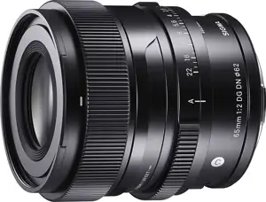 AF 90MM F/2.8 DG DN (C) F/SE