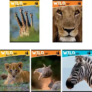 Bilježnica Ilijanum A4 70g 60L crte wild life