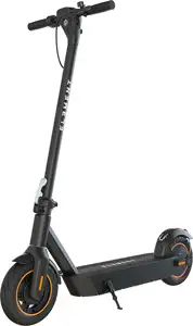 Electric folding scooter ELEMENT MAX 500W / 10 