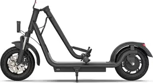 Electric folding scooter ELEMENT Lowrider Ultra 450W / 12