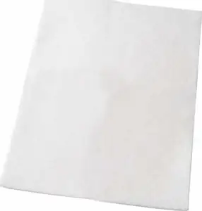 Filter za usisavač EF2 mikro