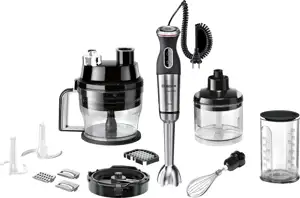 Bosch MS8CM61X1 MaxoMixx Set 1.000 Watt black / silver