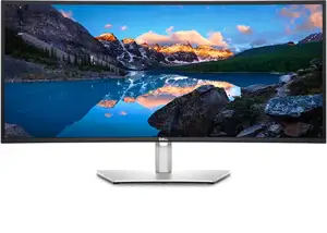 Dell Flat Panel 34