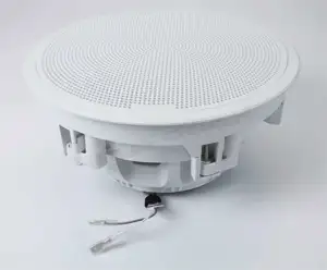 Fusion Flush Mount Sub, 10
