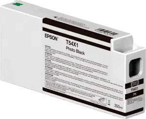 EPSON Singlepack Photo Black T54X100