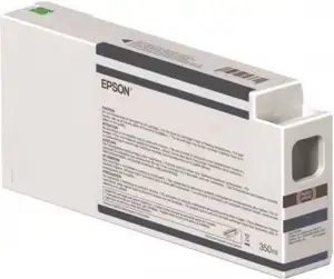 EPSON Singlepack Light Black T54X700