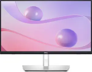 Dell Flat Panel 24