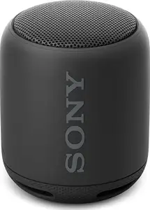 Sony SRS-XB100 crna
