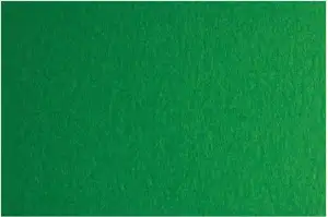 Papir u boji B1 200g Bristol Color pk10 Fabriano 41A zeleni