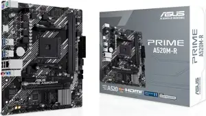 MB ASUS PRIME A520M-R