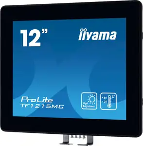 IIYAMA 31.0cm (12,1