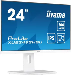 IIYAMA 60,5cm (23,8