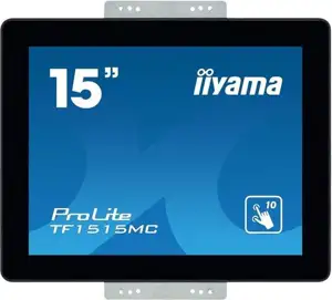 IIYAMA 38.0cm (15