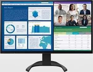 EIZO 80.0cm (31,5