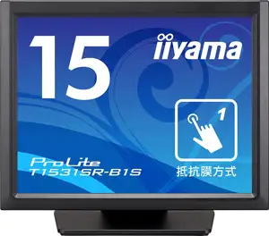 IIYAMA 38.0cm (15