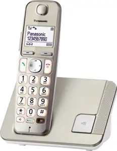 Bežični telefon Panasonic KX-TGE210FXN