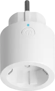 DELOCK WLAN socket switch MQTT energy monitoring