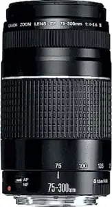 Canon EF 75-300mm f/4-5.6 III